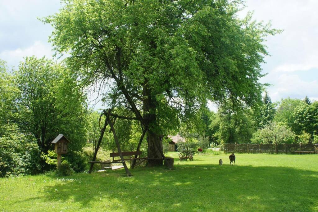 Agroturystyka Ropienka ภายนอก รูปภาพ