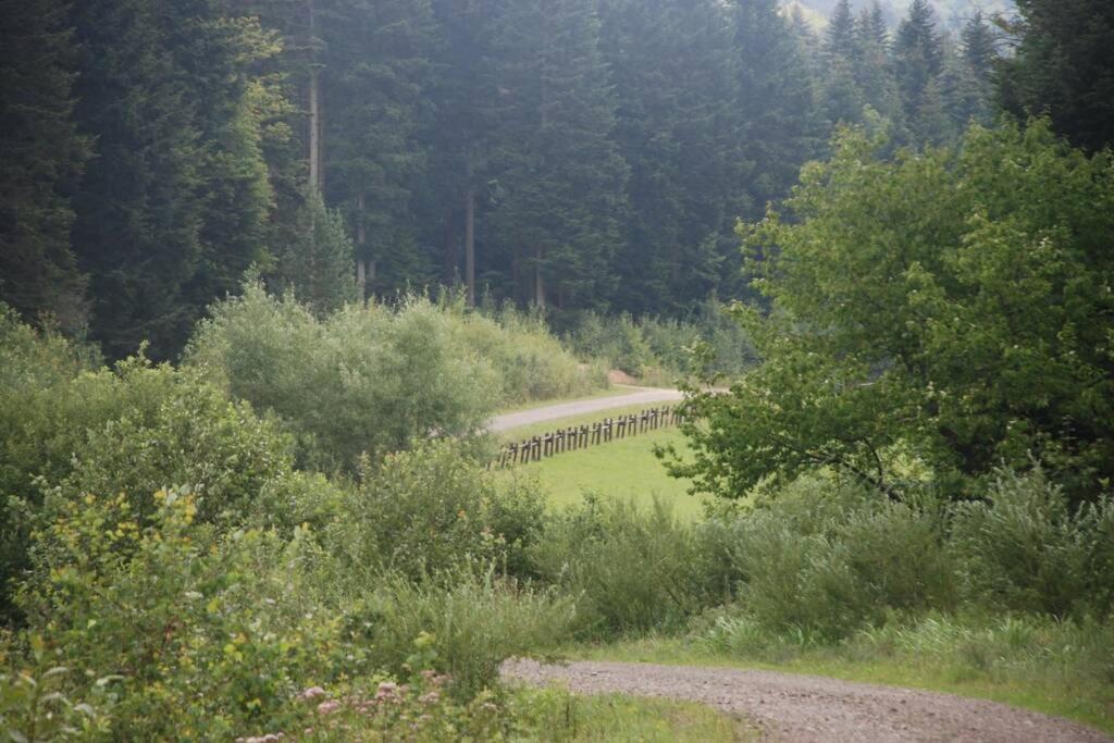 Agroturystyka Ropienka ภายนอก รูปภาพ